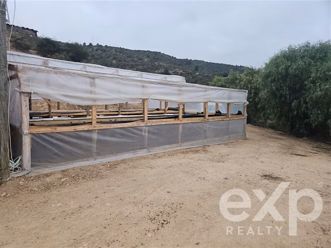 Parcela de 1 hectárea con casa de 105 m2 en San Pedro