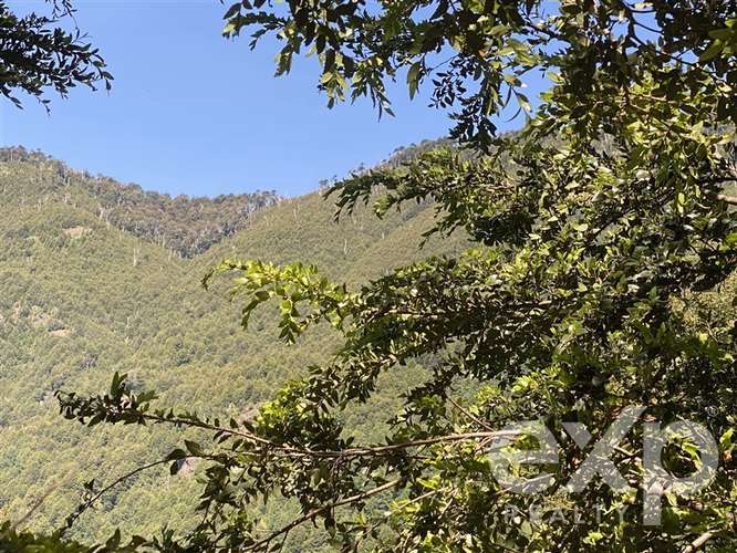 Gran oportunidad de inversión en Huife Alto, Pucón