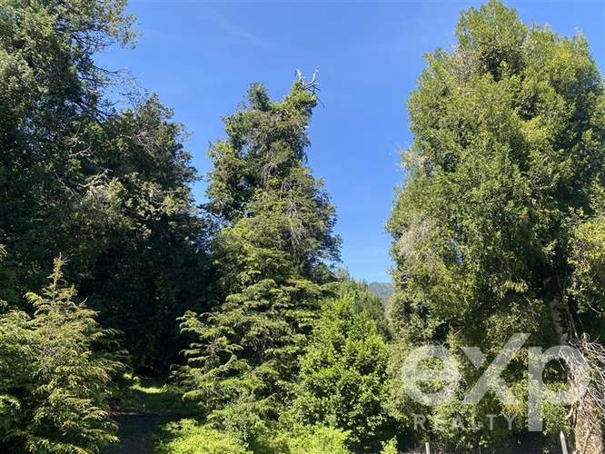 Gran oportunidad de inversión en Huife Alto, Pucón