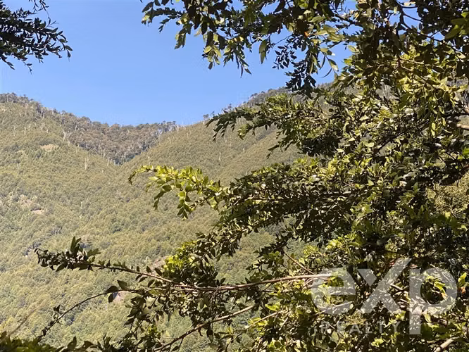 Gran oportunidad de inversión en Huife Alto, Pucón - Imagen 2