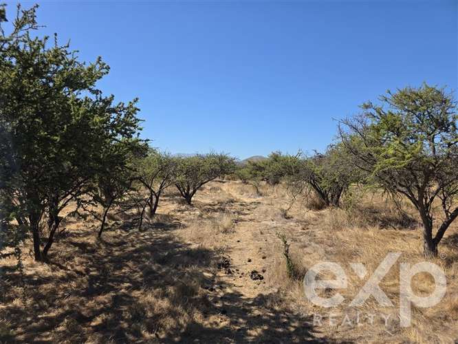 Parcela 5.000m2, en ecológica Hacienda Doña Ignacia, Limache