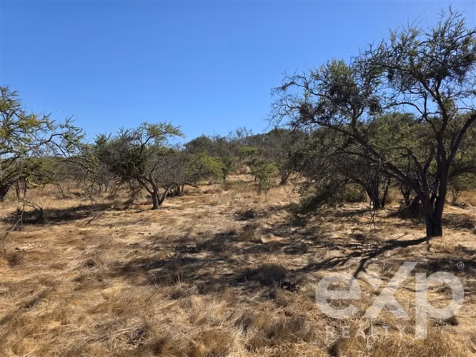 Parcela 5.000m2, en ecológica Hacienda Doña Ignacia, Limache