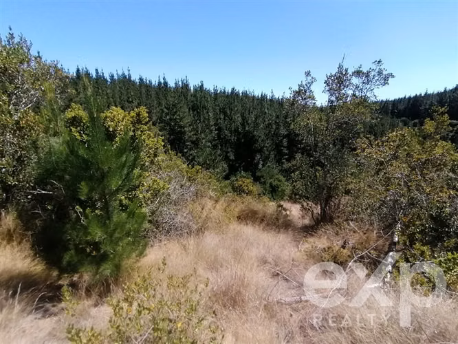 Venta Parcela 5000 m2 en Pichilemu