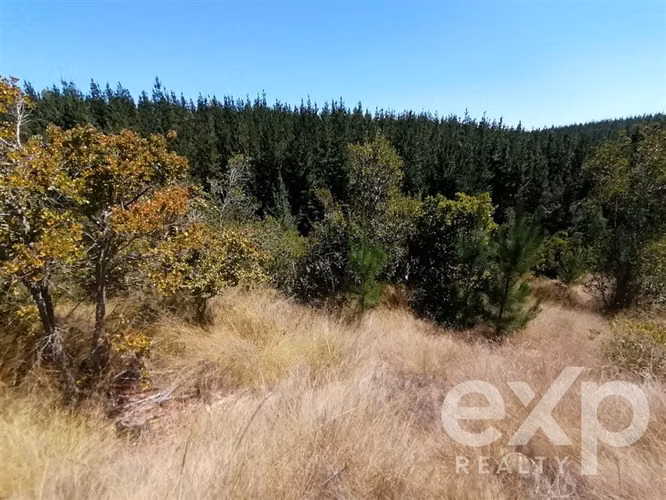 Venta Terreno 5000m2 en Pichilemu