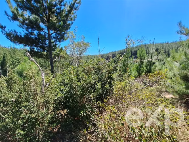 Venta Sitio 5000m2 en Pichilemu