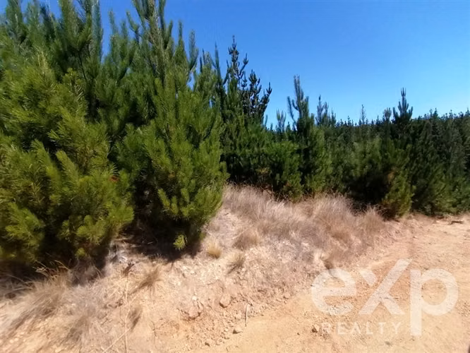Venta Sitio 5000m2 en Pichilemu