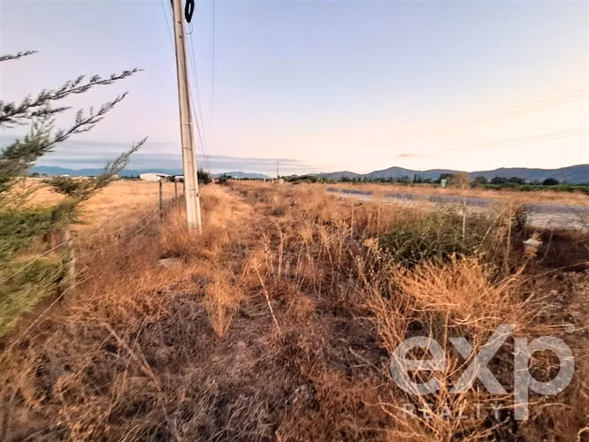 VENDE Sitio comercial A9 Peralillo acceso Ruta I-90