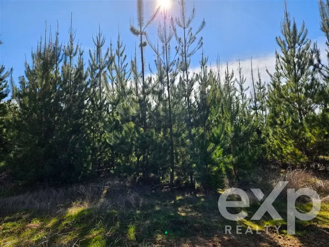 Parcela esquina en venta en Litueche