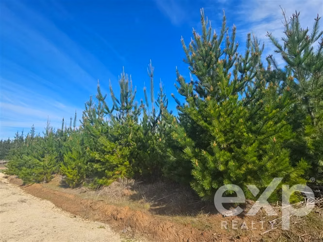 Parcela esquina en venta en Litueche