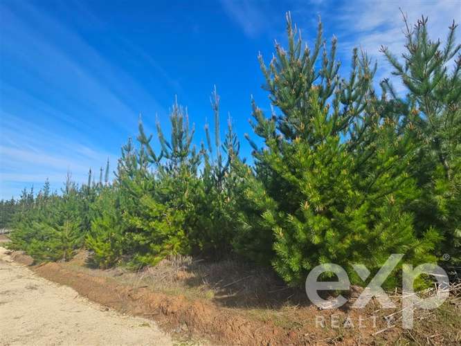 Parcela esquina en venta en Litueche