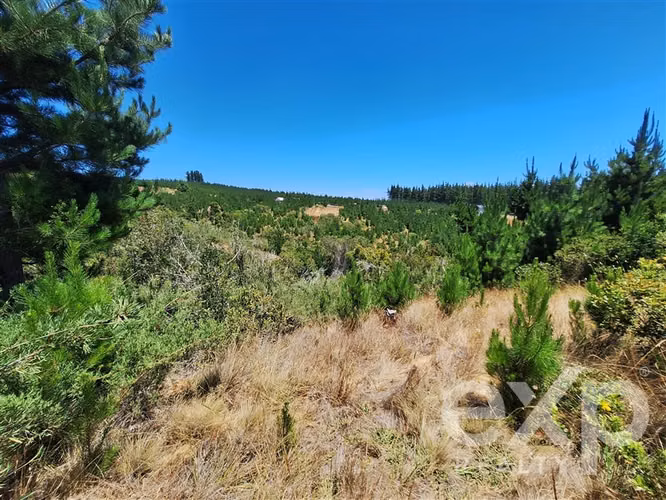 VENTA Parcela 121 en Pichilemu