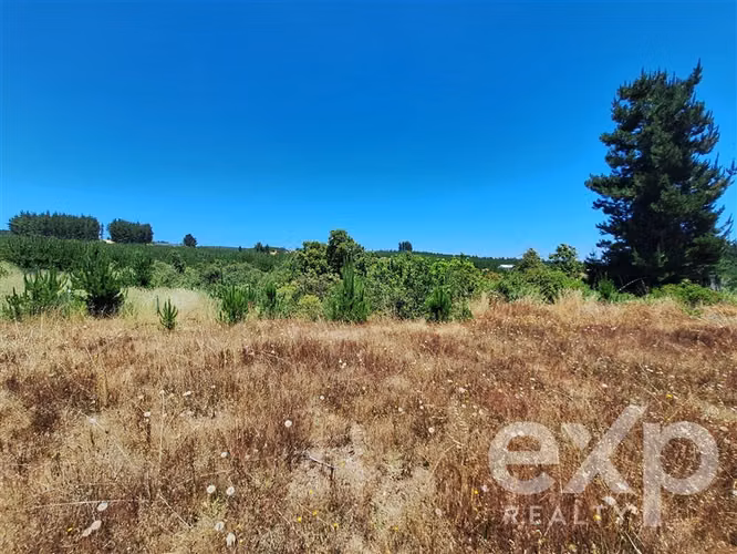 VENTA SITIO 121 Alto Colorado en Pichilemu
