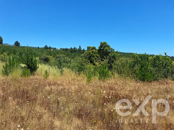 VENTA SITIO 121 Alto Colorado en Pichilemu