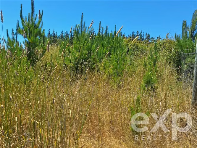 VENTA SITIO 121 Alto Colorado en Pichilemu