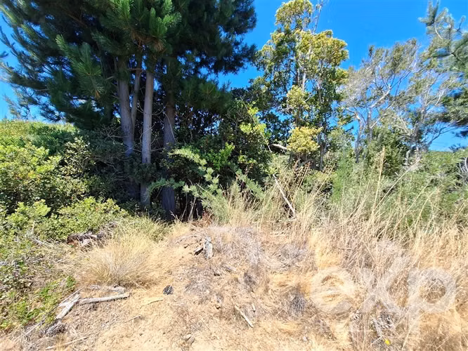 VENTA SITIO 121 Alto Colorado en Pichilemu