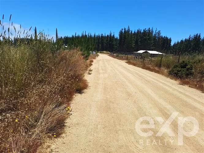 VENTA SITIO AGRICOLA 121 en Pichilemu