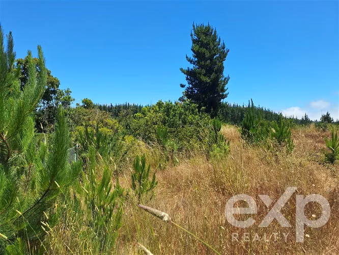 VENTA SITIO AGRICOLA 121 en Pichilemu