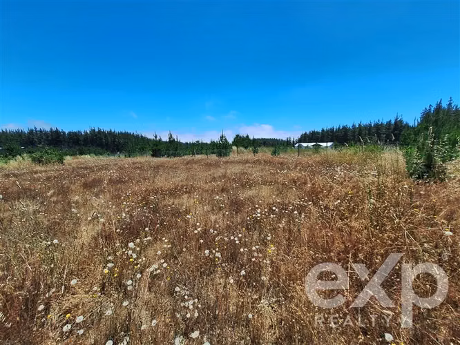 VENTA SITIO AGRICOLA 121 en Pichilemu