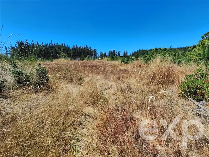VENTA SITIO AGRICOLA 121 en Pichilemu