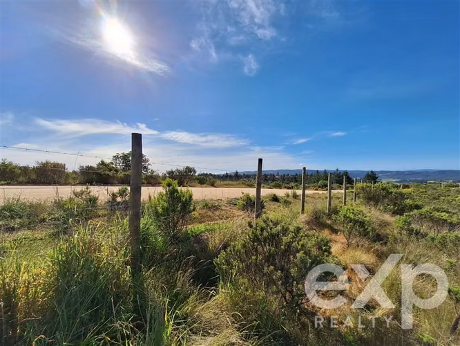 vende Sitio 5000m2 en Aguada de Bucalemu