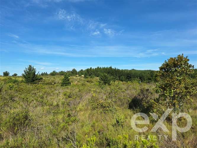 vende Sitio 5000m2 en Aguada de Bucalemu