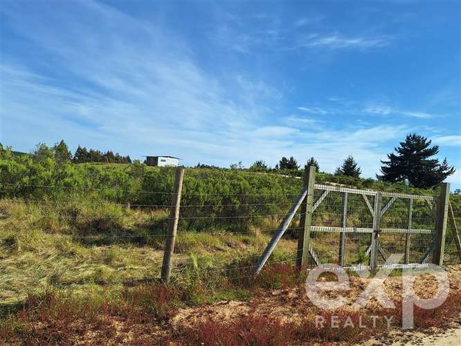 vende Sitio 5000m2 en Aguada de Bucalemu