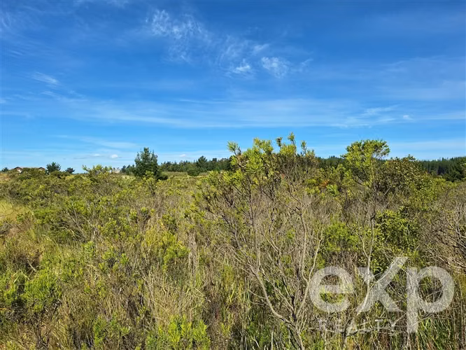 vende Sitio 5000m2 en Aguada de Bucalemu