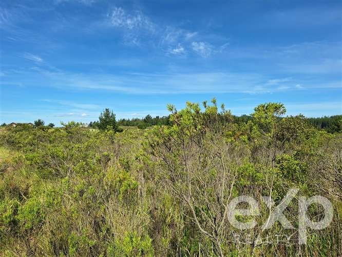 vende Sitio 5000m2 en Aguada de Bucalemu