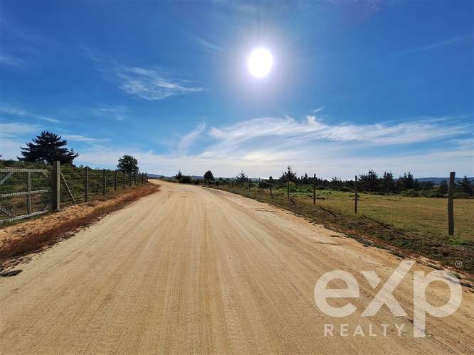 vende Sitio 5000m2 en Aguada de Bucalemu