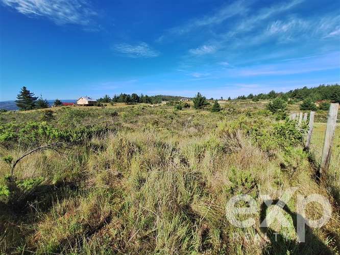 vende Sitio 5000m2 en Aguada de Bucalemu