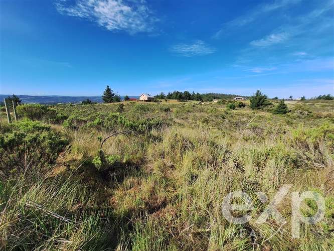 Vende Terreno 5000m2 en Aguada de Bucalemu
