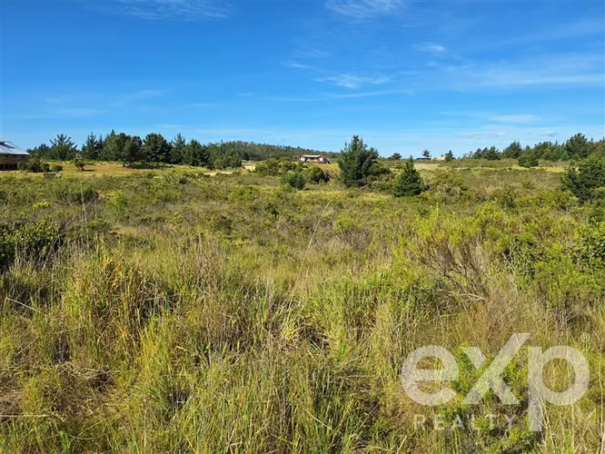 Vende Terreno 5000m2 en Aguada de Bucalemu
