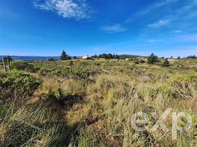 Vende Terreno 5000m2 en Aguada de Bucalemu