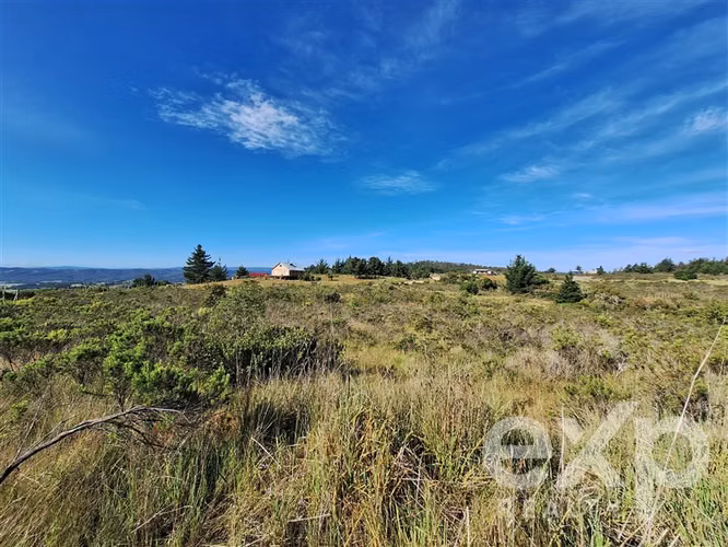 Vende Terreno 5000m2 en Aguada de Bucalemu