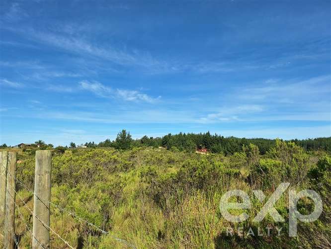 Vende Terreno 5000m2 en Aguada de Bucalemu