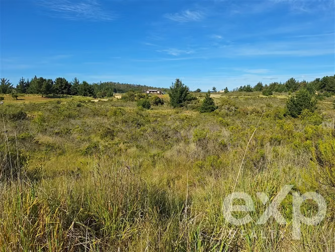 Vende Terreno 5000m2 en Aguada de Bucalemu
