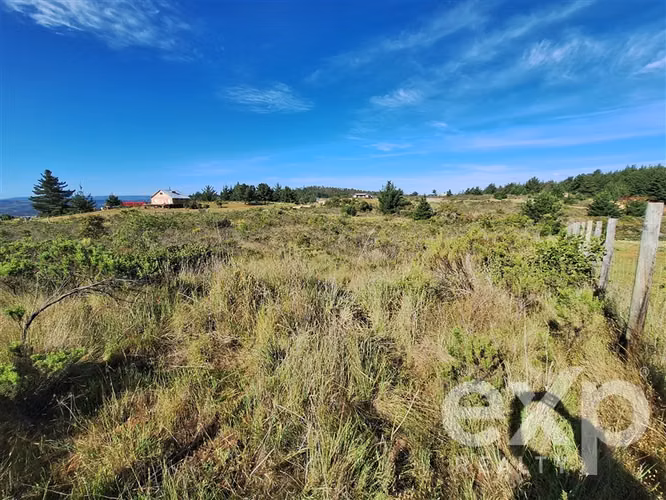 Vende Terreno 5000m2 en Aguada de Bucalemu
