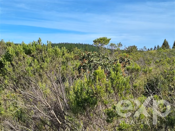 Vende Terreno 5000m2 en Aguada de Bucalemu