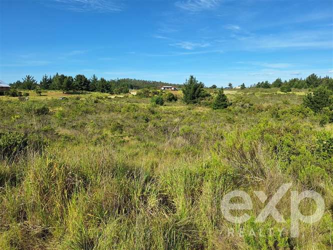 Vende Terreno 5000m2 en Aguada de Bucalemu