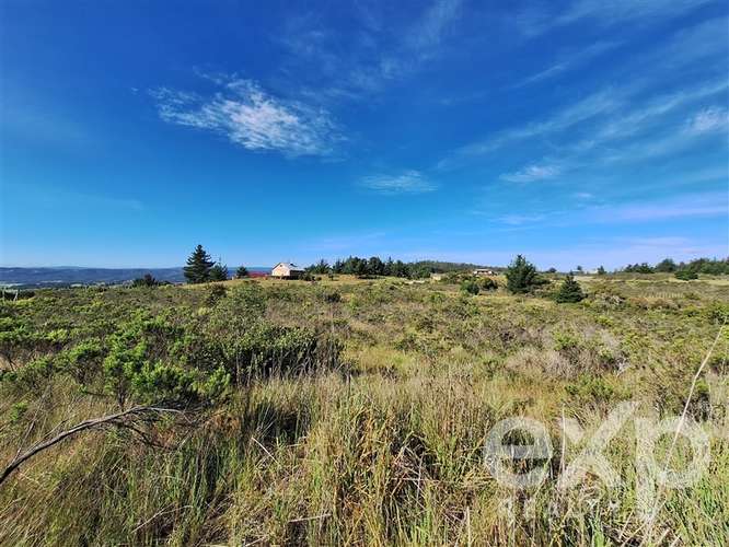 Vende Terreno 5000m2 en Aguada de Bucalemu