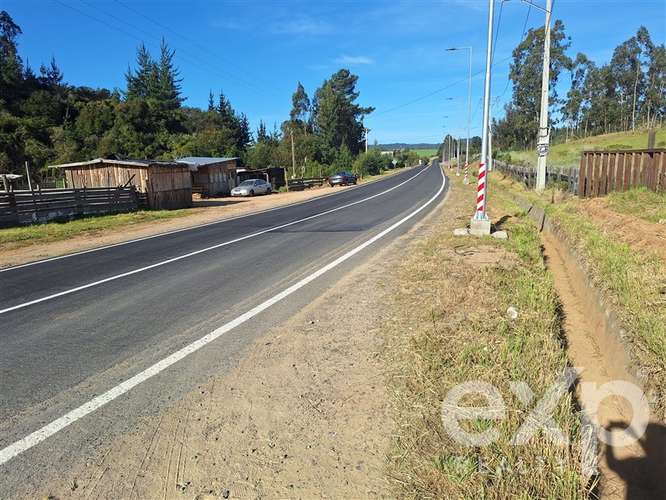 Vende Terreno 5000m2 en Aguada de Bucalemu