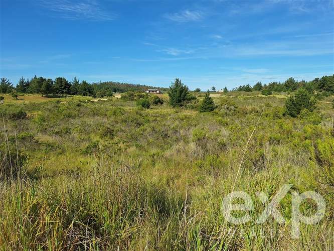Vende Terreno 5000m2 en Aguada de Bucalemu