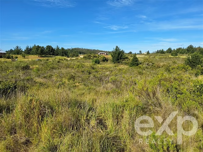Vende Terreno 5000m2 en Aguada de Bucalemu