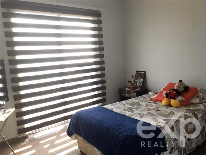 Vendo Parcela Limache 5975M2, casa 220M2, frutales, jardín