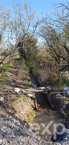 Parcelas en venta en Buin con rol listo, agua, luz y riego