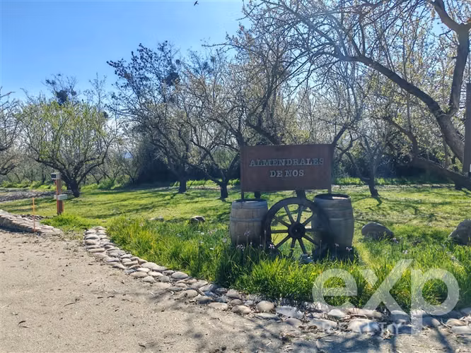 Parcelas en venta en Buin con rol listo, agua, luz y riego
