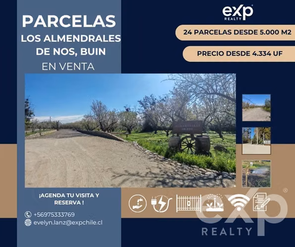 Parcelas en venta en Buin con rol listo, agua, luz y riego
