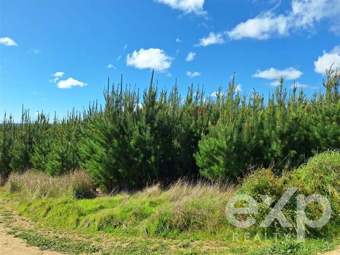 Vende Parcela L184 en Pichilemu - Imagen 6