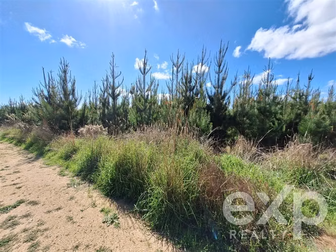 Vende Parcela L184 en Pichilemu