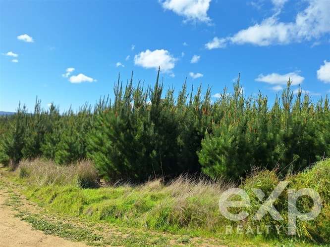 Vende Parcela L184 en Pichilemu - Imagen 4